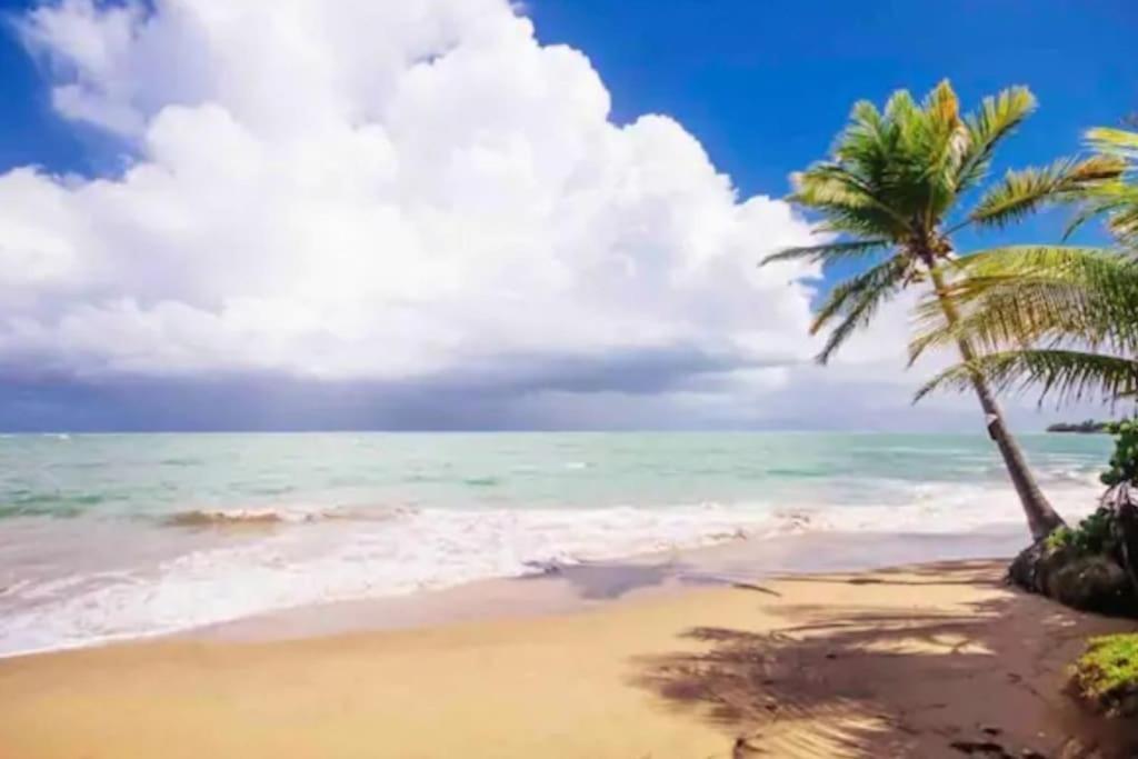 Fall In Love To Endless Summer. Charm And Private Apartment Loiza Exterior foto